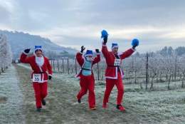 Denbies Santa Run | Denbies Wine Estate