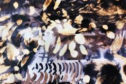 Exploring Ink and Bleach | Guildford Institute