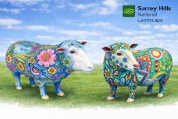 Surrey Hills Sheep Parade | Denbies Wine Estate