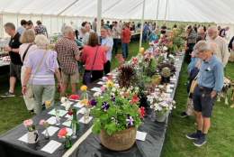 Albury Produce Show and Fair