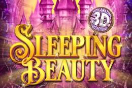 Christmas Pantomime 2024 - Sleeping Beauty | Dorking Halls