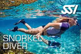 Guided Snorkel Tour