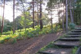 Lightwater Country Park