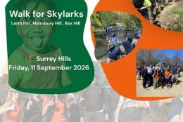 Skylarks Surrey Three Peak Challenege