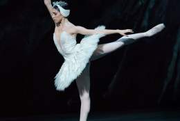 ROH: Swan Lake | Cranleigh Arts