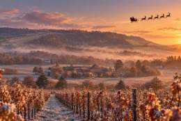 ‘A Taste of Christmas’ at Denbies Wine Estate - 5 December