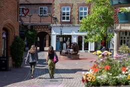 Shopping in Farnham