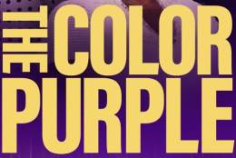 Baby Friendly Cinema Club - The Color Purple | G Live
