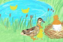 Short Stories, Tall Tales: Adventures of an Ugly Duckling | Yvonne Arnaud Theatre