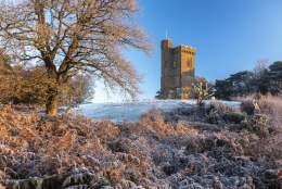 Leith Hill & Tower