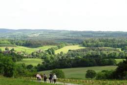 Newlands Corner