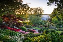 RHS Garden Wisley