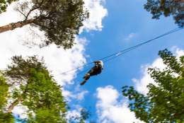 Go Ape Alice Holt