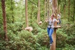 Go Ape Alice Holt