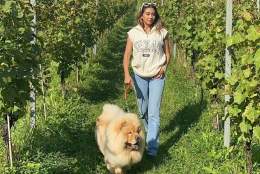 Walkies & Wine | Albury Vineyard