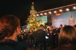 A Surrey Hills Christmas at the Silent Pool Distillery