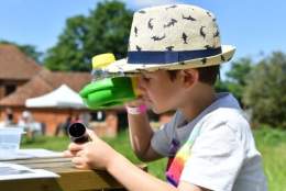 Summer at West Horsley Place