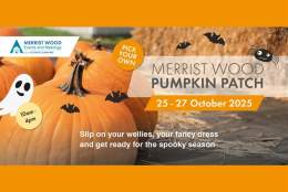Merrist Wood Pumpkin Patch – PYO