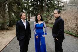The Late Romantic | Surrey Hills International Music Festival