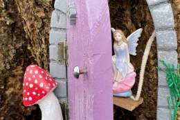 Fairy Tale Treasure Hunt | Gatton Park