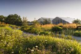 Yoga Workshop Sundays | RHS Garden Wisley