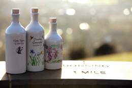 Gin & Vine Experience Day | Denbies Wine Estate