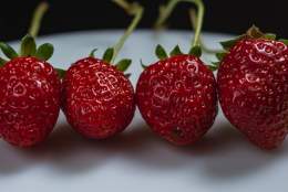 Strawberry Fayre - Almac Bisley Brass Band