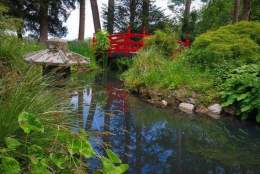 Open Day | Gatton Park