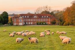 Nooks and Crannies History Tour | West Horsley Place