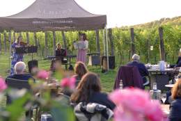 Music in the Vineyard - Songs from the Shows | Albury Vineyard