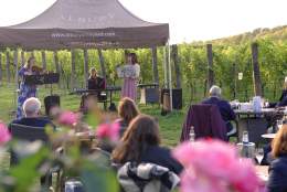 Jazz in the Vineyard | Albury Vineyard