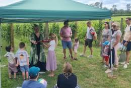 A Musical Adventure | Albury Vineyard