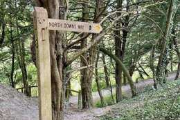 Pilgrim's Way Film Screening & Talk | Pippbrook House