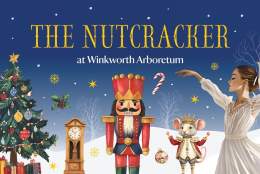 The Nutcracker | Winkworth Arboretum National Trust