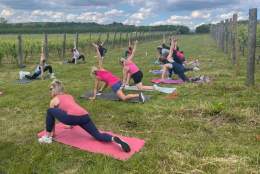 Wellness & Wine - A Workout in the Vines | Albury Vineyard