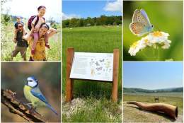 A Wildlife Adventure | Albury Vineyard