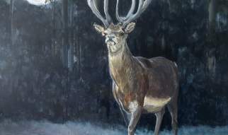 While You Were Sleeping - Art Exhibition by Jane Haigh