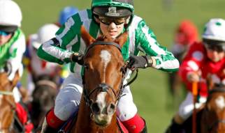County Raceday - Market Rasen Racecourse