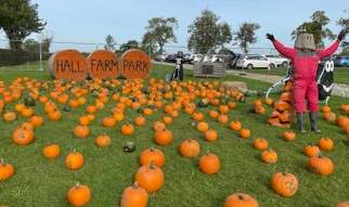 October Half Term Fun at Hall Farm Park