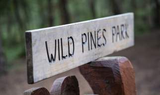 Easter Egg Hunt at Wild Pines Park