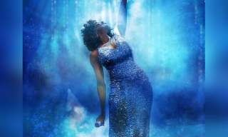 Whitney: Queen of the Night