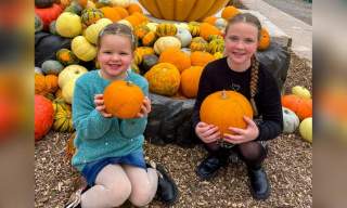 Pumpkin Fest