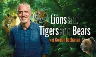 Lions and Tigers and Bears with Gordon Buchanan