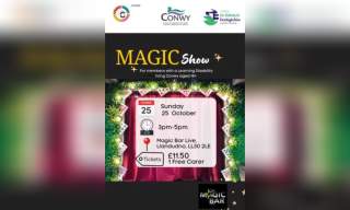 Magic Show