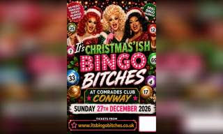 It's Christmas'ish Bingo Bitches