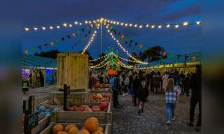 Pumpkin Fest Nights