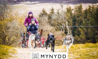 Mynydd Sleddog Adventures Ltd
