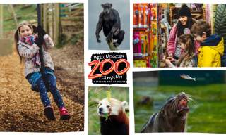 Welsh Mountain Zoo - National Zoo of Wales