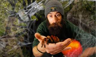 Halloween at Exotic Zoo