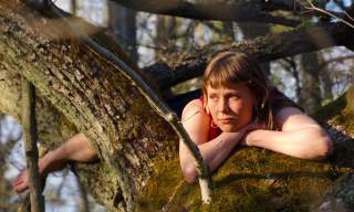 UK Green Film Festival: Once Upon A Time In A Forest (Cert TBC)